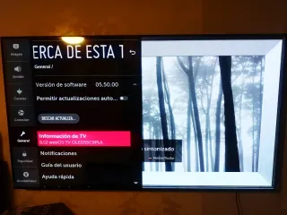 TV LG OLED 55 4K HDR Inteligencia Artificial
