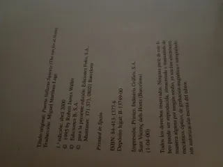 Puerto Vallarta, Robert j.waller 2000