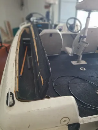 Embarcación con motor gasolina y eléctrico