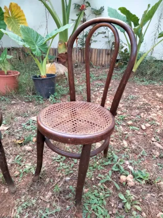 Originales y Antiguas Sillas Thonet Minis
