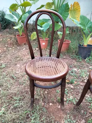 Originales y Antiguas Sillas Thonet Minis