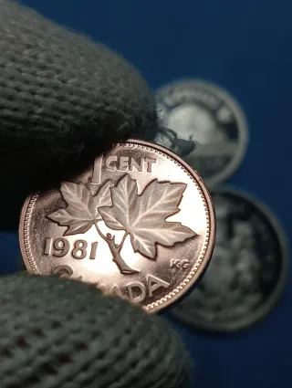 Monete Canada 1981 - 1, 5, 25, 50 Cents