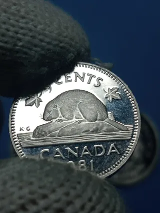 Monete Canada 1981 - 1, 5, 25, 50 Cents
