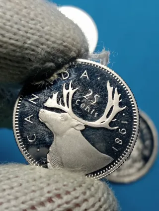 Monete Canada 1981 - 1, 5, 25, 50 Cents