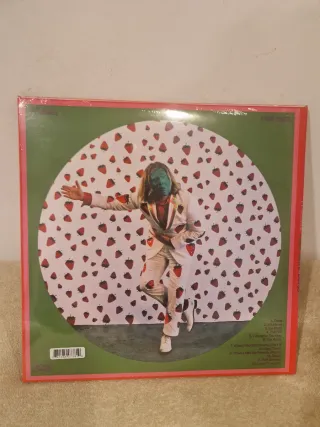 Ty Segall Vinile Nuovo Chiuso