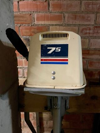 Motor Fueraborda Evinrude 7.5 CV