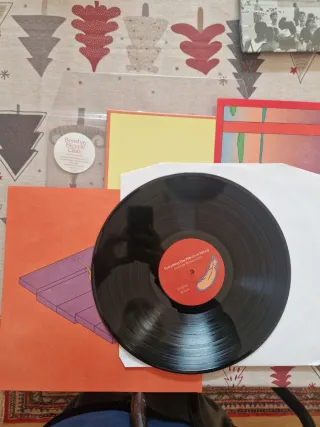 Bombay Bicycle Club - Everything Else Has Gone Wro