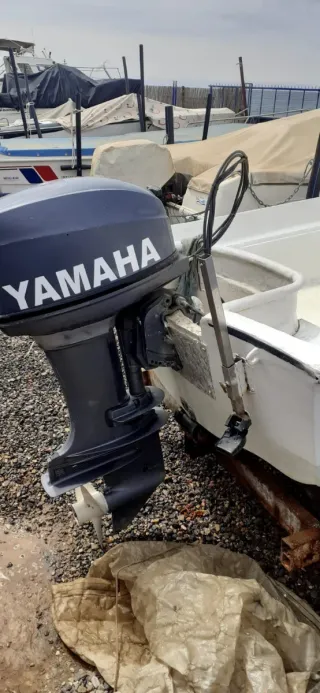 Barco de pesca Yamaha