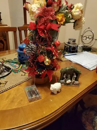 Albero di Natale e Presepe