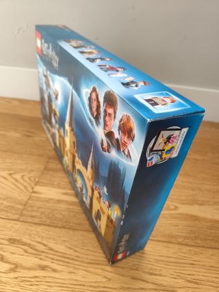 LEGO Harry Potter 75953 Sauce Boxeador