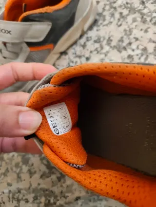 Zapatos deportivos niño Adidas, geox, Quechua