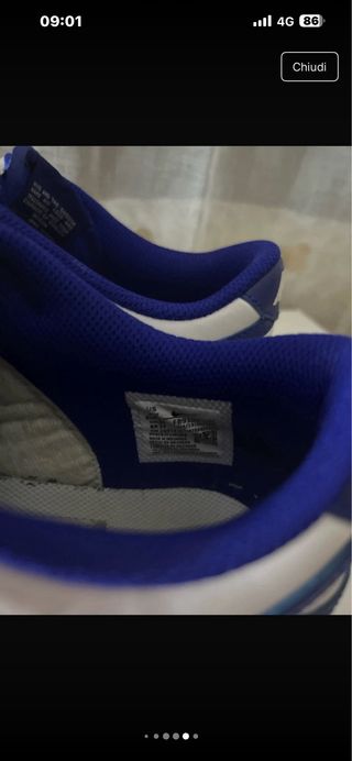 Nike Dunk Low Bianche e Blu - Taglia 38.5