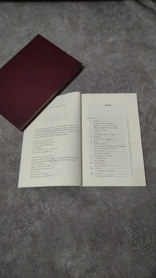 La aventura de los godos