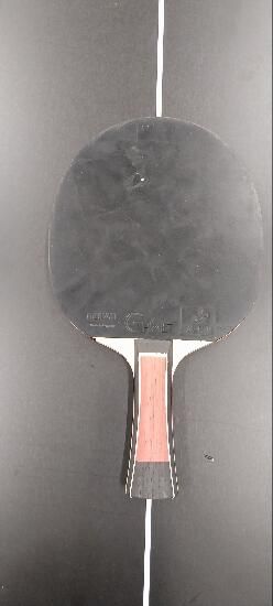 Pala ping pong club - Lebrun Pro X 5* ITTF