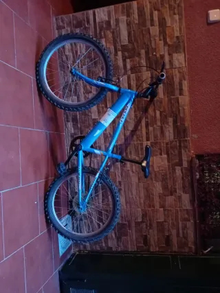 Bicicleta infantil azul