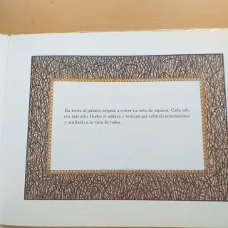 Libro La Bella Durmiente Grimm Ilustración Le Cain