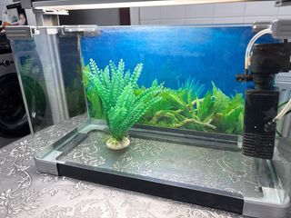 Acuario 20L con luz y filtro