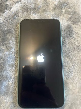 iPhone 11 Verde