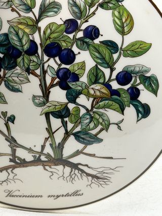 Caja Botánica Cerámica Villeroy & Boch