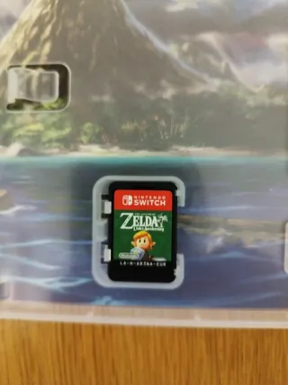 The Legend of Zelda Link's Awakening Switch
