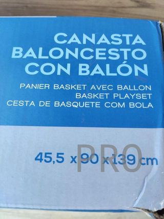 Canasta baloncesto con recogepelotas