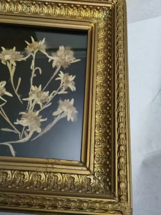 Cuadro Edelweiss años 60