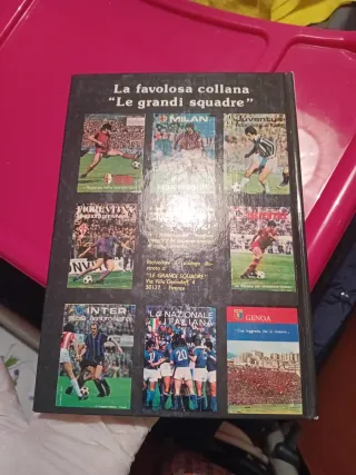 Juventus fidanzata d'Italia libro
