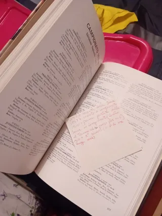 Juventus fidanzata d'Italia libro