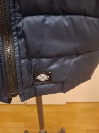 Giacca Dickies 2 in 1 Beige