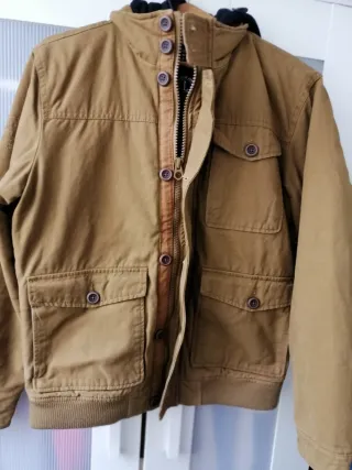 Chaqueta Springfield Hombre