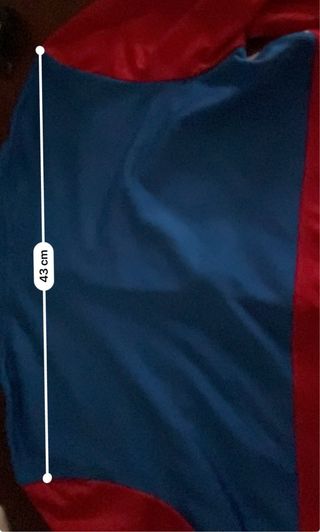 Felpa Adidas con cappuccio e zip