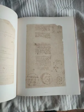 El Códice Atlántico