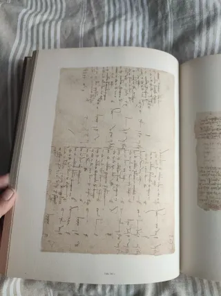 El Códice Atlántico