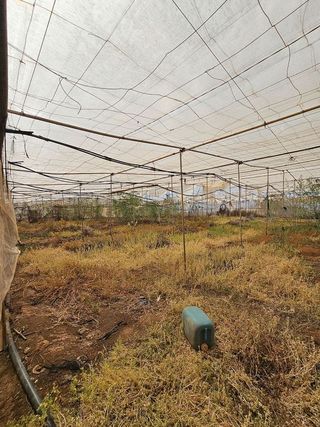 Terreno en venta en San Isidro en Granadilla de Abona