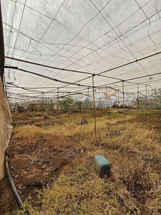 Terreno en venta en San Isidro en Granadilla de Abona