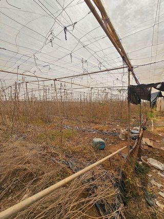 Terreno en venta en San Isidro en Granadilla de Abona