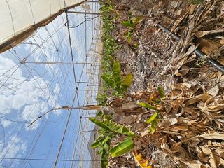 Terreno en venta en San Isidro en Granadilla de Abona