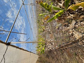 Terreno en venta en San Isidro en Granadilla de Abona