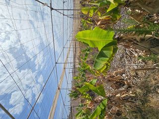 Terreno en venta en San Isidro en Granadilla de Abona