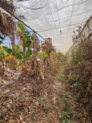 Terreno en venta en San Isidro en Granadilla de Abona