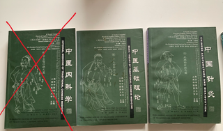 Medina china en Inglés: ver descripción.