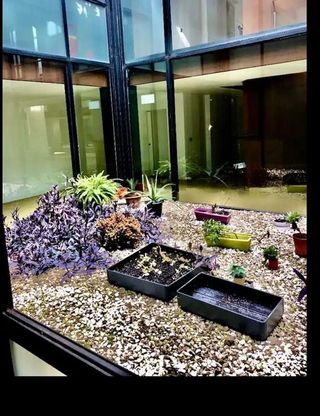 Dúplex en alquiler en Centro en Jerez de la Frontera