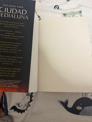 CASA DE LLAMA Y SOMBRA