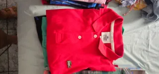 Camisas y polos de marca originales