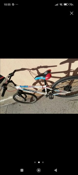 Bicicleta unisex
