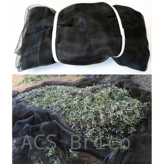 Manto Aceitunas Recolección - 80 g/m² - Negro - 7x14 m