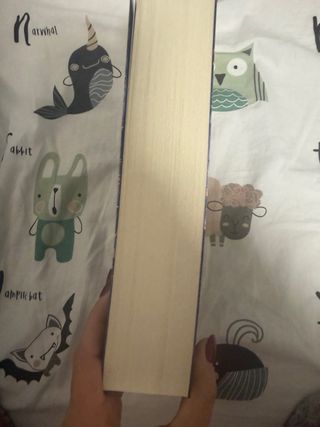 PORTADORA DE ESTRELLAS