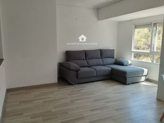 Piso en alquiler en Carolinas Bajas en Alicante