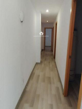 Piso en alquiler en Carolinas Bajas en Alicante