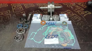 Motor TM 144 2010